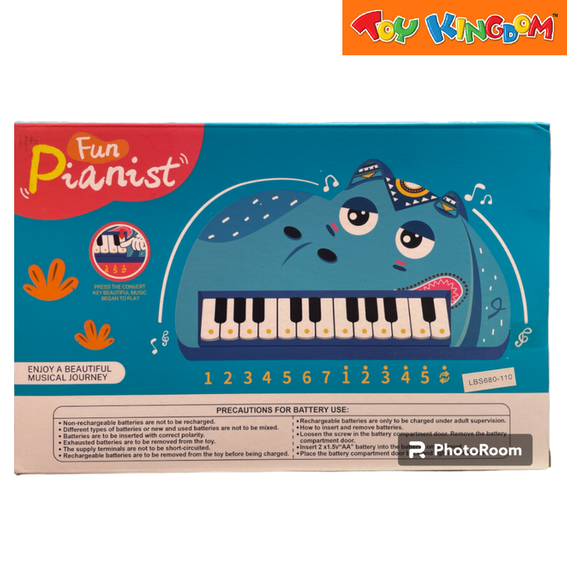 Fun Pianist Musical Piano